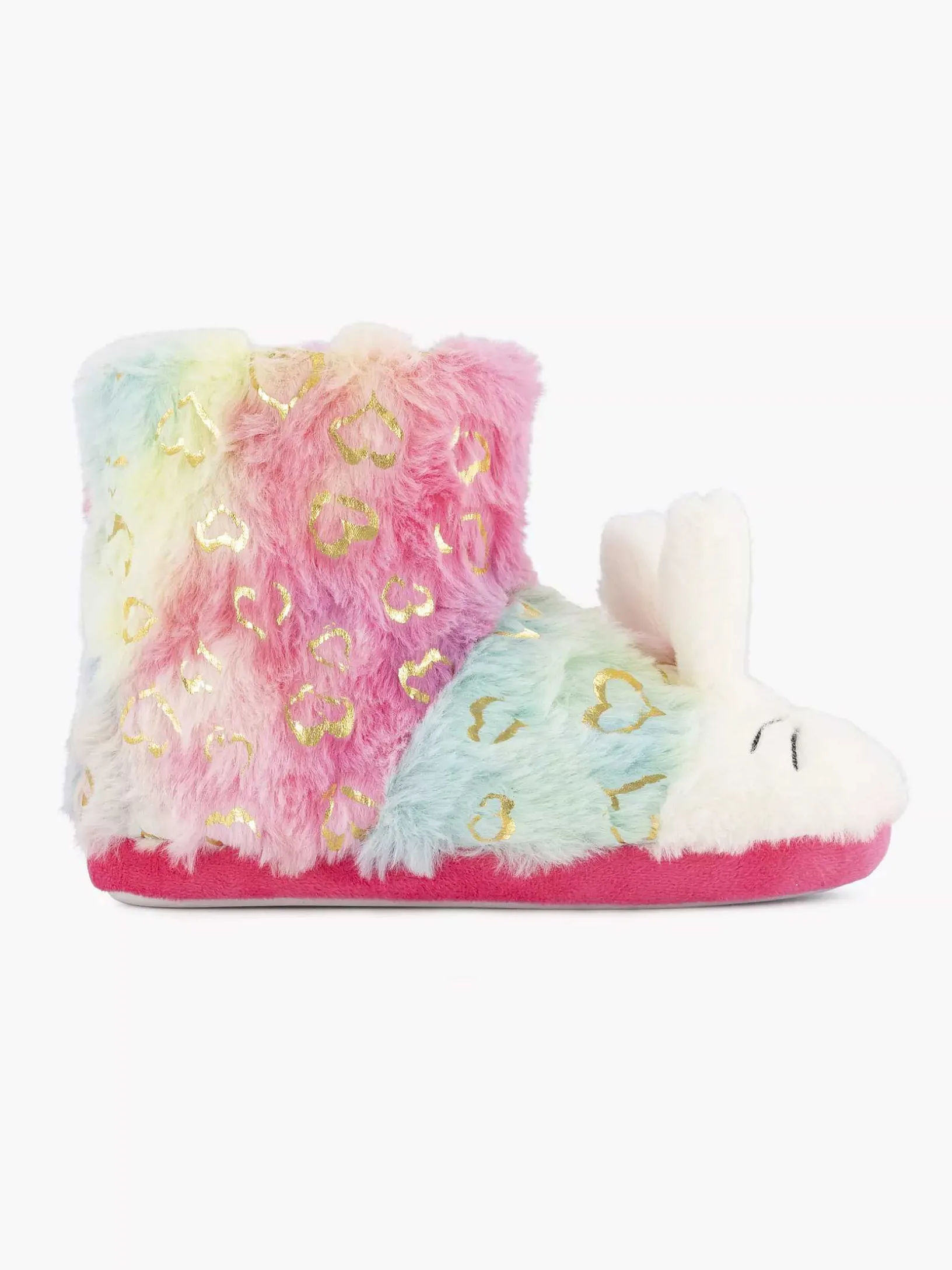 Gekleurde Pantoffel Kat