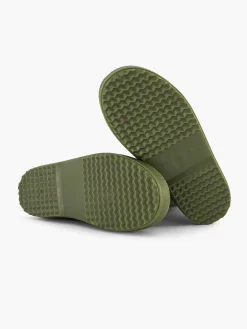 Groene Regenlaars