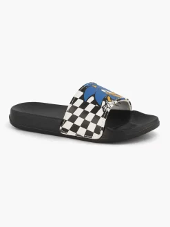 Zwarte Slipper